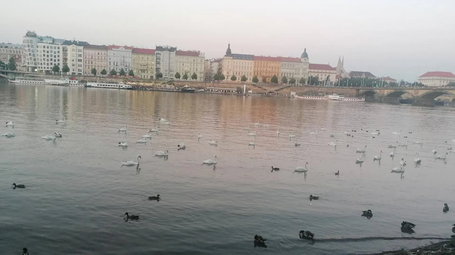 Apartamento Valentinka Minutes Away From Charles Bridge Praga